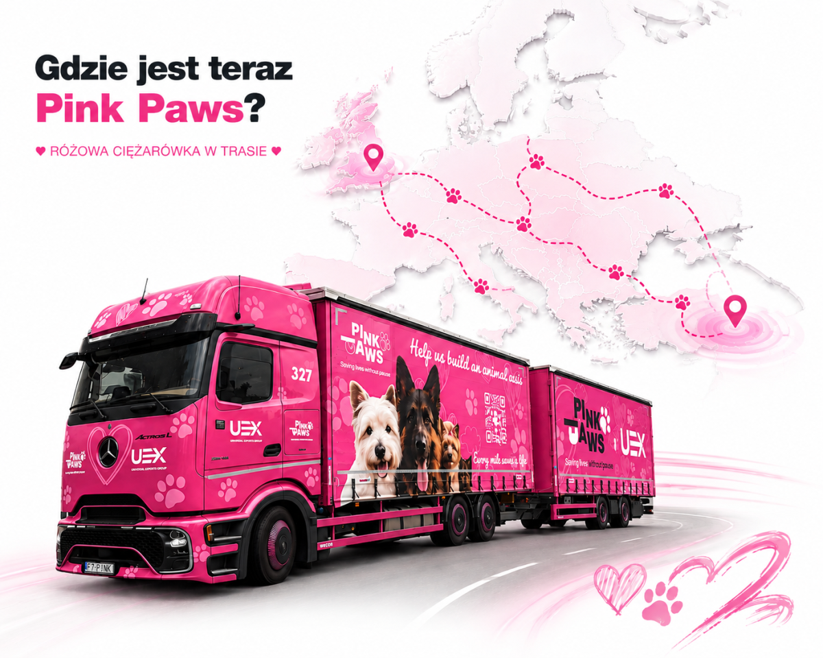 Pink Paws w trasie